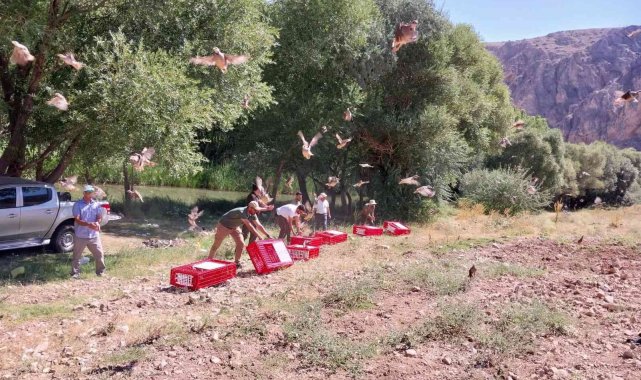 Kahramanmaraş'ın Elbistan ilçesinde Doğa Koruma ve Milli Parklar Kahram...