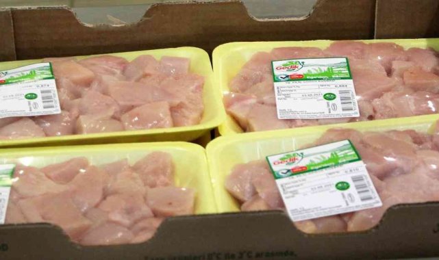 Türkiye tavukçuluğunun lider markası Gedik Piliç, üretim, yatırım ve ihraca...