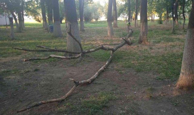 Afyonkarahisar�da mesire alanındaki yaklaşık 20 metre uzunluğundaki bir