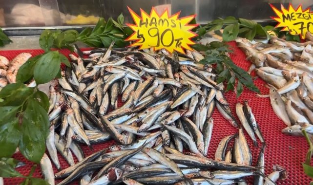 DÜZCE (İHA) – Palamutla tezgahlarını süsleyen balıkçılar son günlerde hamsi...