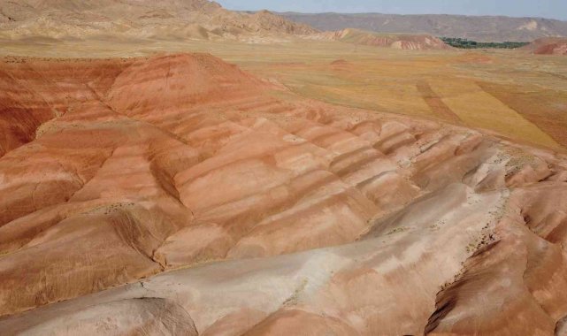 Iğdır'ın Tuzluca ilçesinde bulunan ve kırmızı başta olmak üzere kahvere...