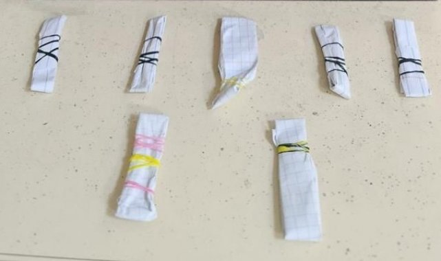 Tekirdağ'ın Kapaklı ve Çorlu ilçelerinde uyuşturucuya yönelik düzenlene...