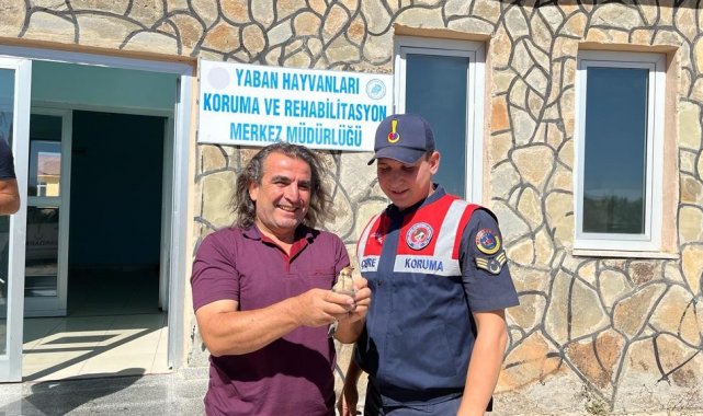 Yaralı olarak bulunan ağaçkakan tedavi altına alındı