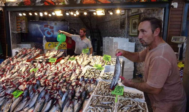 Bu günlerde özellikle Batı Karadeniz taraflarında bolca avlanan palamut bal...