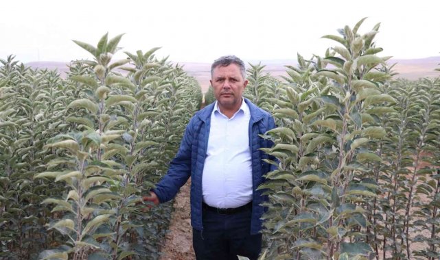 Türkiye'de elma üretiminde ikinci olan Niğde'de, 2 milyonun üzerind...