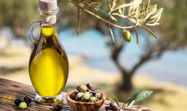 Aydın'ın önemli ihracat ürünlerinden olan zeytin ve zeytinyağında 2021-...