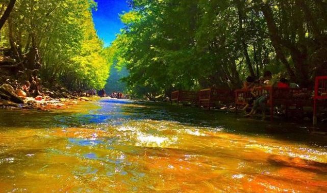 Batman'ın Kozluk ilçesinde bulunan Ayngebire piknik ve mesire alanı, so...