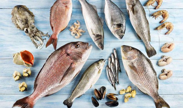 Dünyanın protein ihtiyacını karşılayan su ürünleri ve hayvansal mamuller se...