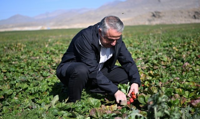 Kayseri Tarım ve Orman İl Müdürü Mustafa Şahin; Develi İlçesi Soysallı Maha...