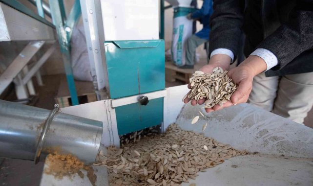 Konya genelinde çiftçiye ve üreticiye desteğini sürdüren Konya Büyükşehir B...