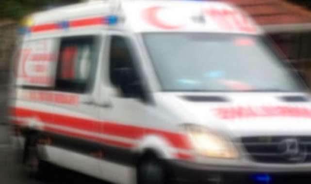 Muğla'nın Dalaman ilçesinde kesim alanında eşinin kestiği dalın altında...