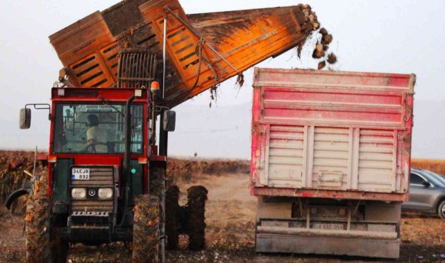 Türkiye'de şeker pancarı üretiminde ilk sırada yer alan Konya'da pa...