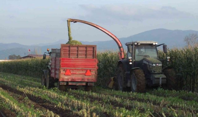 Balıkesir'in Burhaniye ilçesinde silajlık mısır ekimi artarken, kurulan...