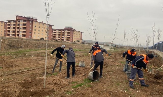 Çorum'un Sungurlu İlçesi'nde, daha yaşanabilir ilçe için çalışmalar...