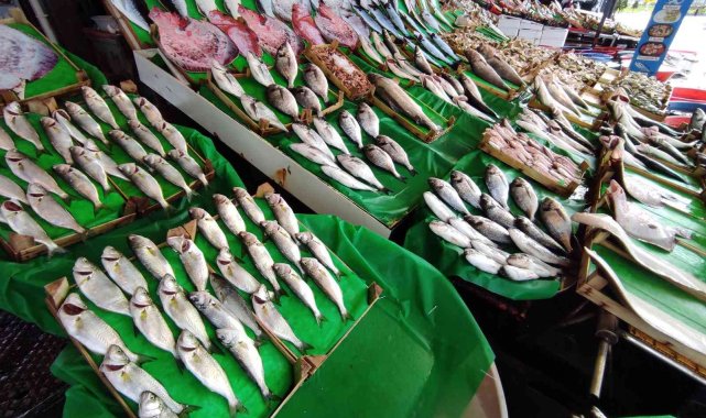 İstanbul'da balık tezgahlarında somon azaldı. Özellikle Norveç'ten ...