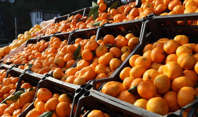 Rize'nin Derepazarı ilçesinde yetişen ve ismini yetiştiği ilçeden alan ...