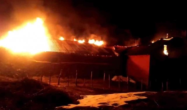 Hakkari'nin Yüksekova ilçesinde çıkan yangında bir ev küle döndü.
Edin...