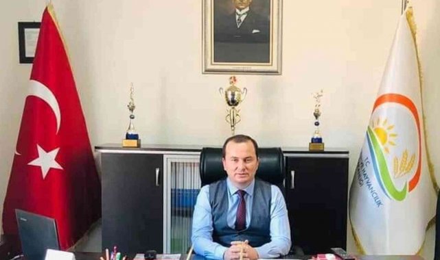 Mersin'in Mut ilçesinde zeytin hasadı sona ererken 160 bin ton zeytin i...