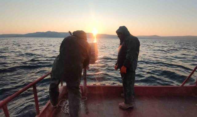 Türkiye'nin en büyük gölü olan Van Gölü'nde yaşayan inci kefalini a...