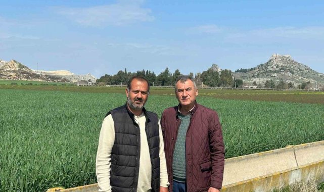 Adana'nın Ceyhan ilçesinde kuraklık sıkıntısı çeken çiftçinin yüzü yağa...