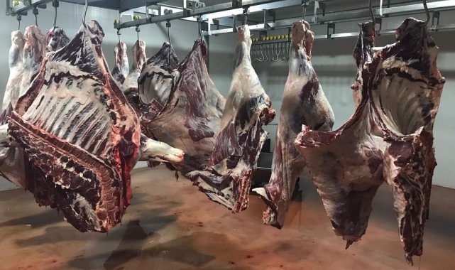 Afyonkarahisar'ın Dinar ilçesinde deprem bölgesine başlatılan yardım ka...