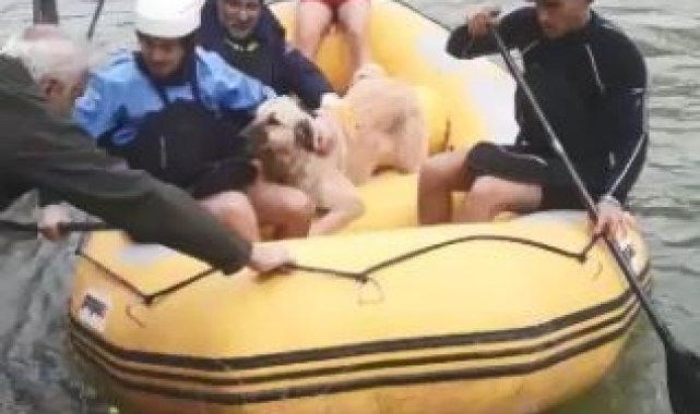 Artvin'in Yusufeli ilçesinde baraj suları ilçe merkezini tamamen kaplad...