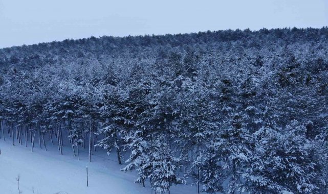 Bilecik'te hava sıcaklığının düşmesiyle yüksek kesimlerde kar yağışı et...