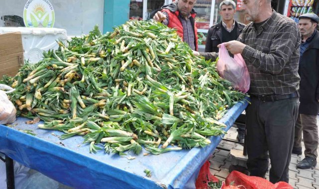 Bitlis'in Güroymak ilçesinde ilkbaharın gelişiyle birlikte doğada kendi...