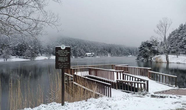 Bolu'nun gözde turizm merkezi Gölcük Tabiat Parkı'nda yeşil alanlar...