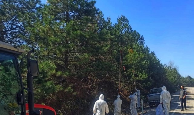 Bolu'nun Mudurnu ilçesi Taşkesti beldesinde Orman İşletme Müdürlüğü eki...