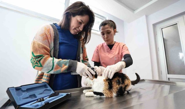 Denizli Büyükşehir Belediyesi Sokak Hayvanları Barınma, Rehabilitasyon Merk...