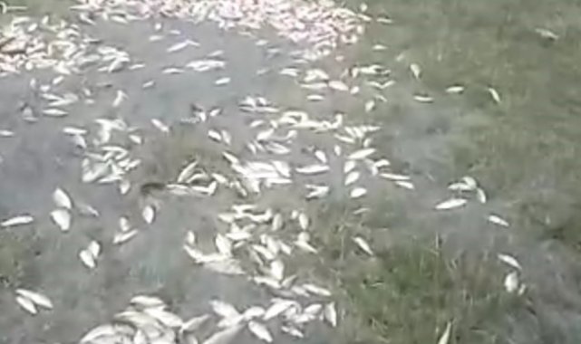 Deprem bölgesi Malatya'da etkili olan sağanak yağış sonrası dereler taş...