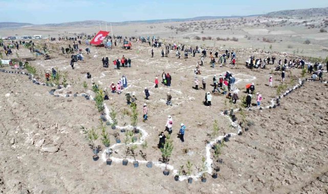Dünya Ormancılık Günü'nde, "6 Şubat Deprem Şehitleri Ormanı" ...