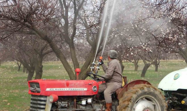 Dünyanın kuru kayısı ihtiyacının yüzde 85'inin karşılandığı, 'Dünya...