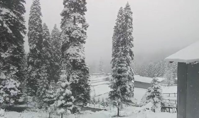 Düzce'nin yüksek kesimlerinde mart ayında kar yağışı etkili oluyor. Sin...