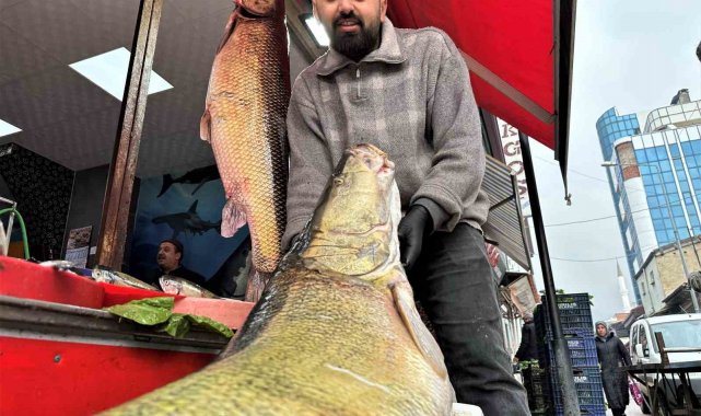 Elazığ'da bir hafta boyunca aralıklarla yağan sağanak sonrası Keban Bar...