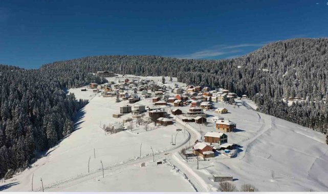 Giresun'un Yavuzkemal beldesine bağlı Kulakkaya Yaylası kar yağışıyla b...