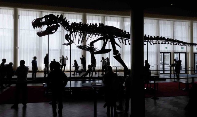 İsviçre'nin Zürih kentinde 18 Nisan'da açık artırmaya çıkarılacak d...