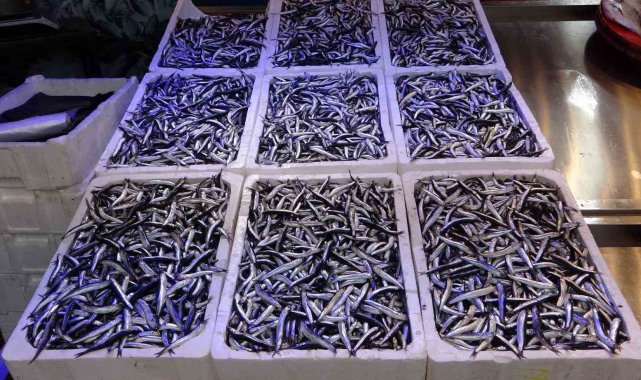 Karadeniz Teknik Üniversitesi (KTÜ) Deniz Bilimleri ve Teknolojisi Enstitüs...