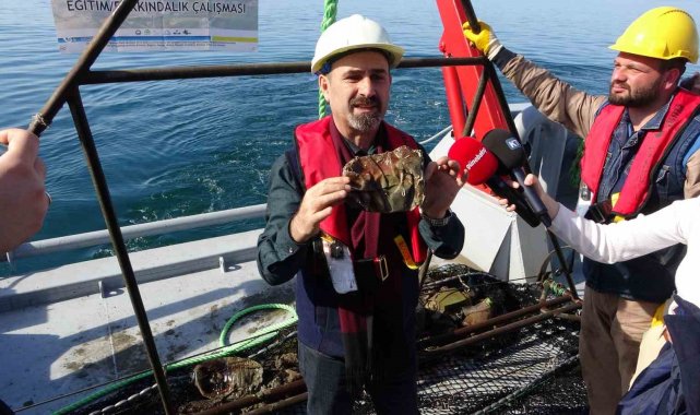 Karadeniz Teknik Üniversitesi (KTÜ) Sürmene Deniz Bilimleri Fakültesi Öğret...