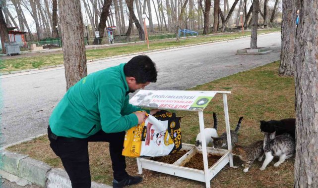 Konya'nın Ereğli İlçe Belediyesi, kurulan Sokak Hayvanlarını Besleme Od...