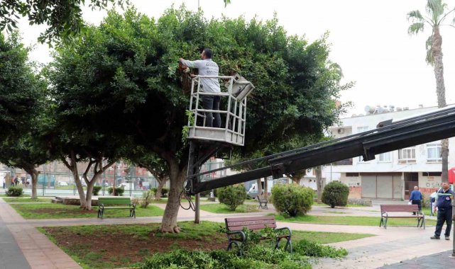 Mersin Akdeniz Belediyesi Park ve Bahçeler Müdürlüğü, hazırladığı plan ve p...