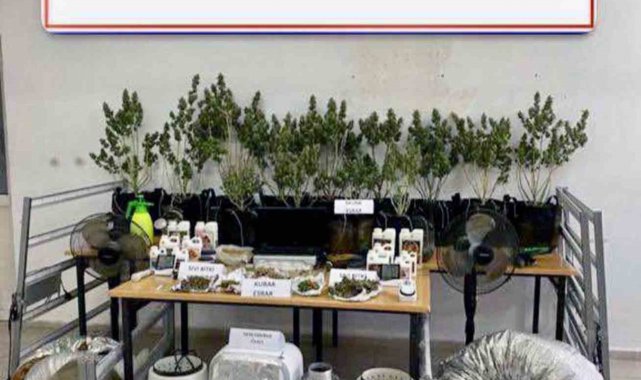 Muğla'nın Dalaman ilçesinde Jandarma ekipleri tarafından düzenlenen uyu...