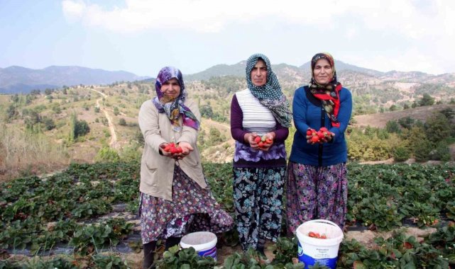 Orhaneli Belediye Başkanı Ali Aykurt yaptığı açıklamada Bursa'da ve Tür...