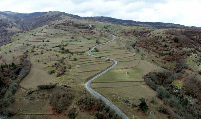 Samsun Büyükşehir Belediye Başkanı Mustafa Demir, 17 ilçedeki bin 251 mahal...