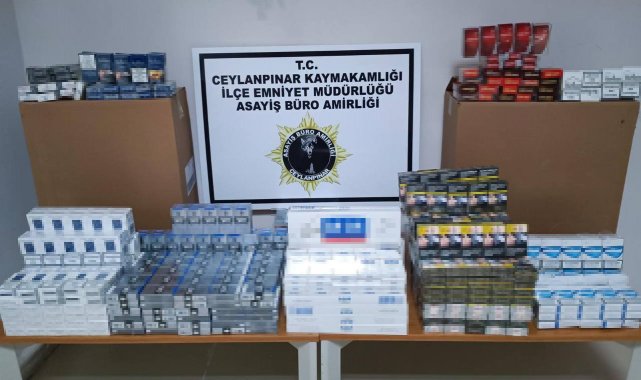 Şanlıurfa'nın Ceylanpınar ilçesinde bir dükkana düzenlenen baskında 823...