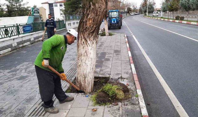 Siirt Belediyesi Park ve Bahçeler Müdürlüğü, şehir merkezinde genel bakım, ...