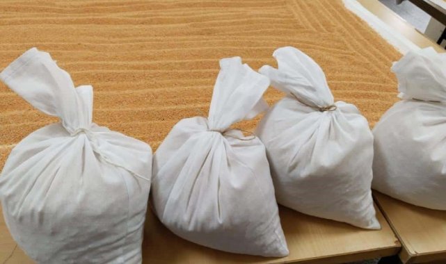 Sinop Gerze Halk Eğitim Merkezi Müdürlüğü öğretmenleri ve kursiyerleri, dep...