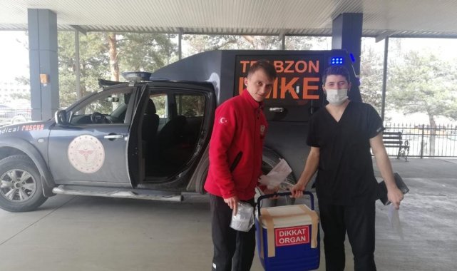 Trabzon'un Çarşıbaşı ilçesinde ormanlık alanda kestiği ağacın altında k...