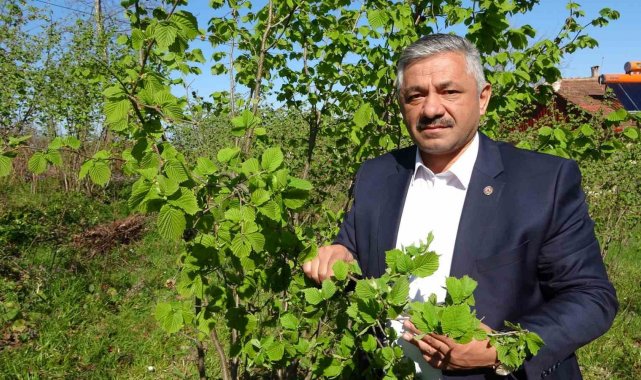 Türkiye Ziraat Odaları Birliği Yönetim Kurulu Üyesi Arslan Soydan, Karadeni...